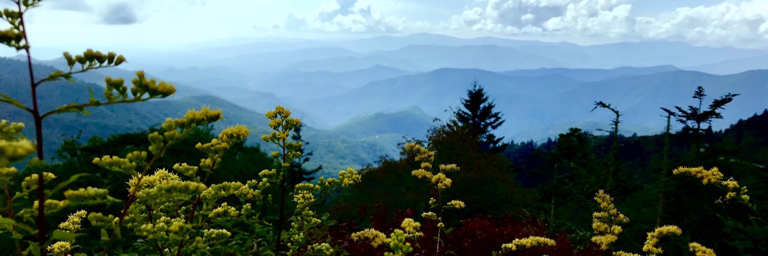 ARaxter's profile banner image
