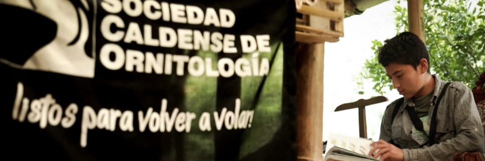 SCOrnitologia's profile banner image