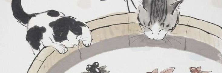 smolsum's profile banner image