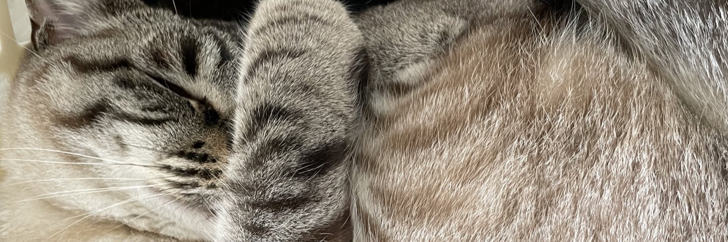 えーさん𓃠 banner