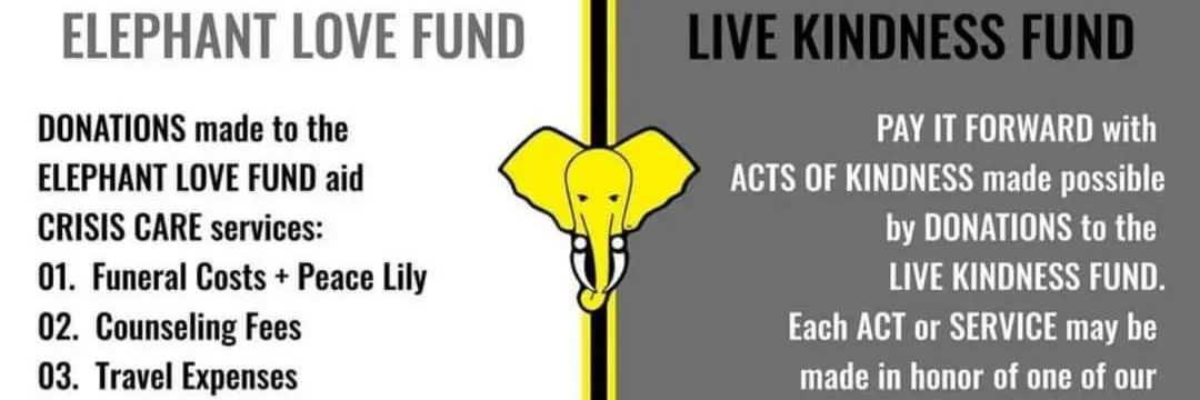 TYEMovement's profile banner image