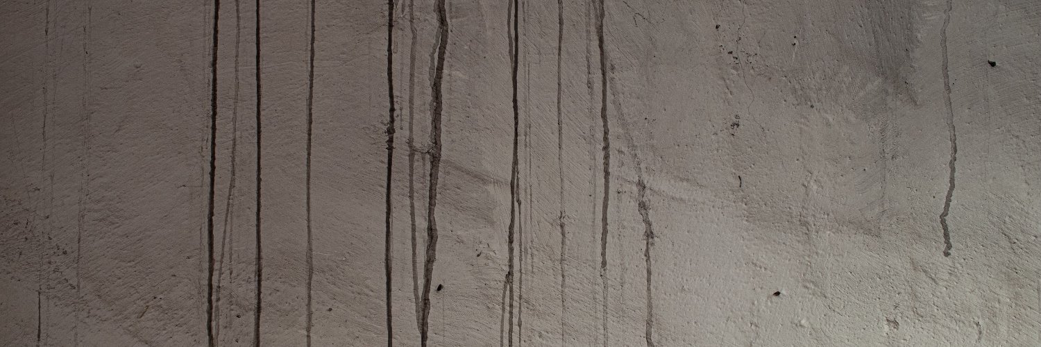 lorenzobecciani's profile banner image