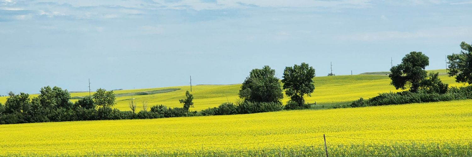 Jennifer Shane banner