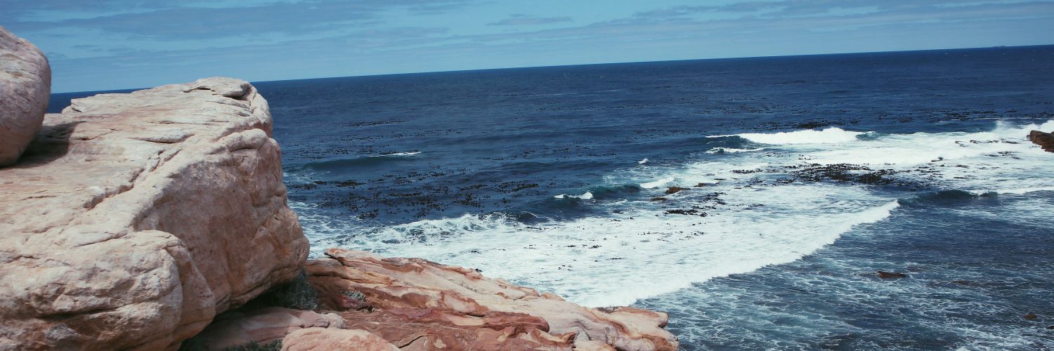 liarahmii's profile banner image