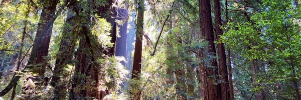 MichaelChiappo3 Profile Banner