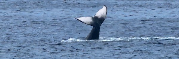 ClaytonLRichter Profile Banner