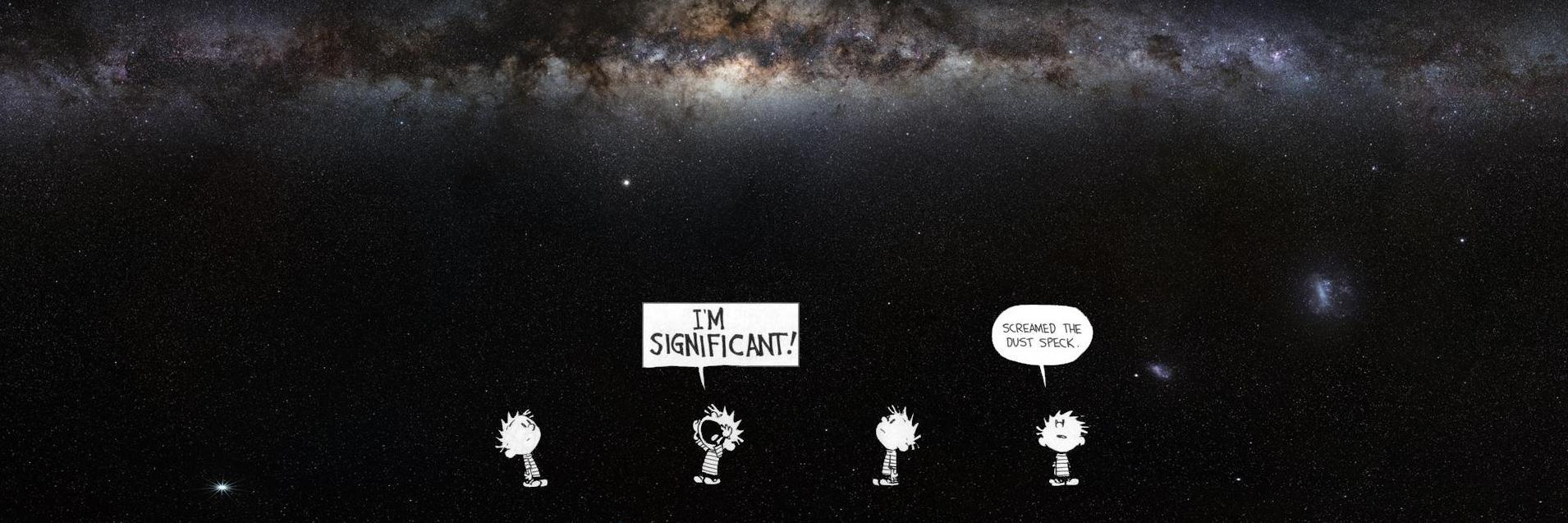 LotionDolphin's profile banner image