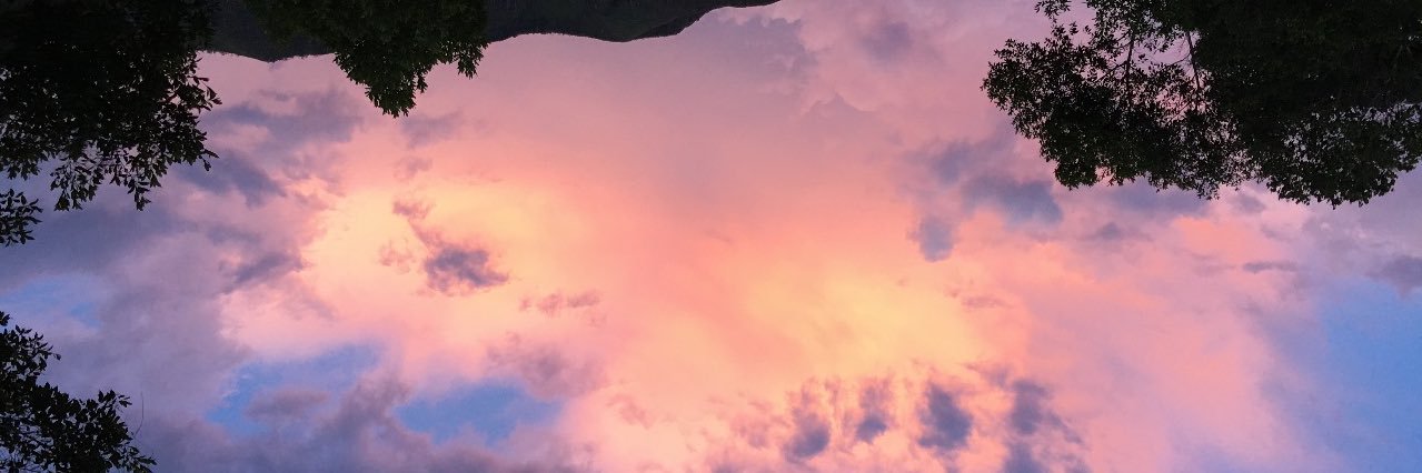 cataalinaa banner