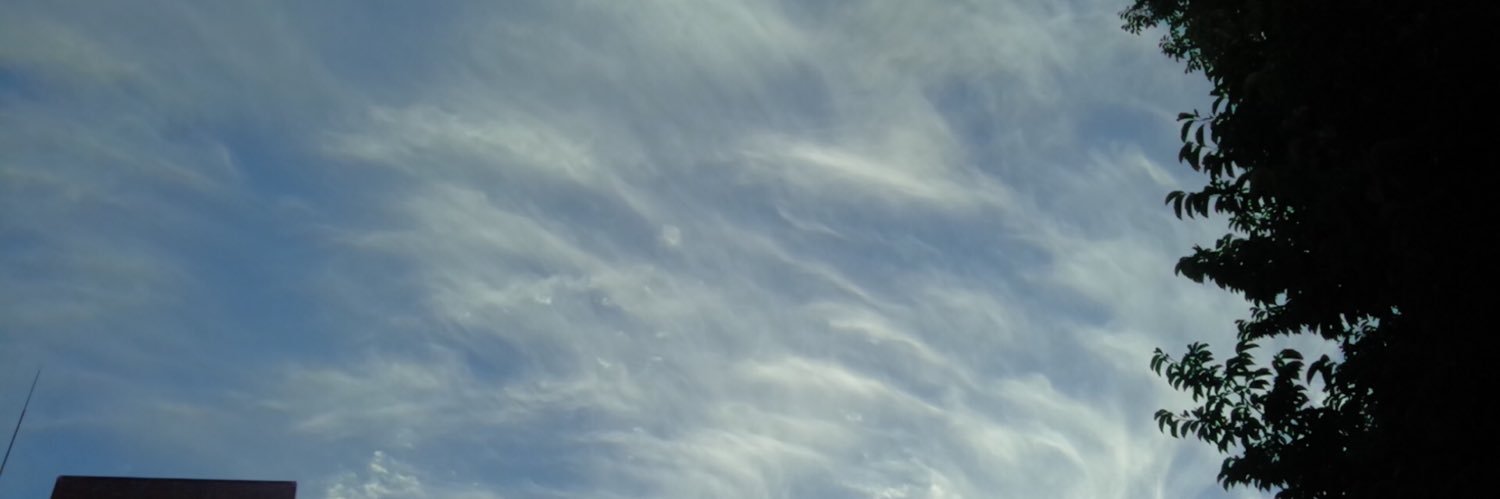 gogogogonzalez's profile banner image