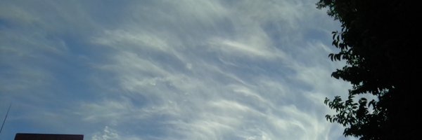 gogogogonzalez Profile Banner