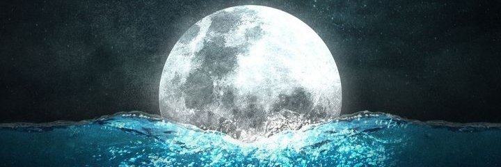 AlexAlmaty's profile banner image