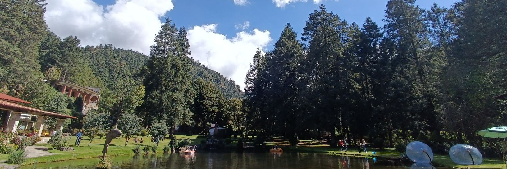 Rony Robles 🔀 banner