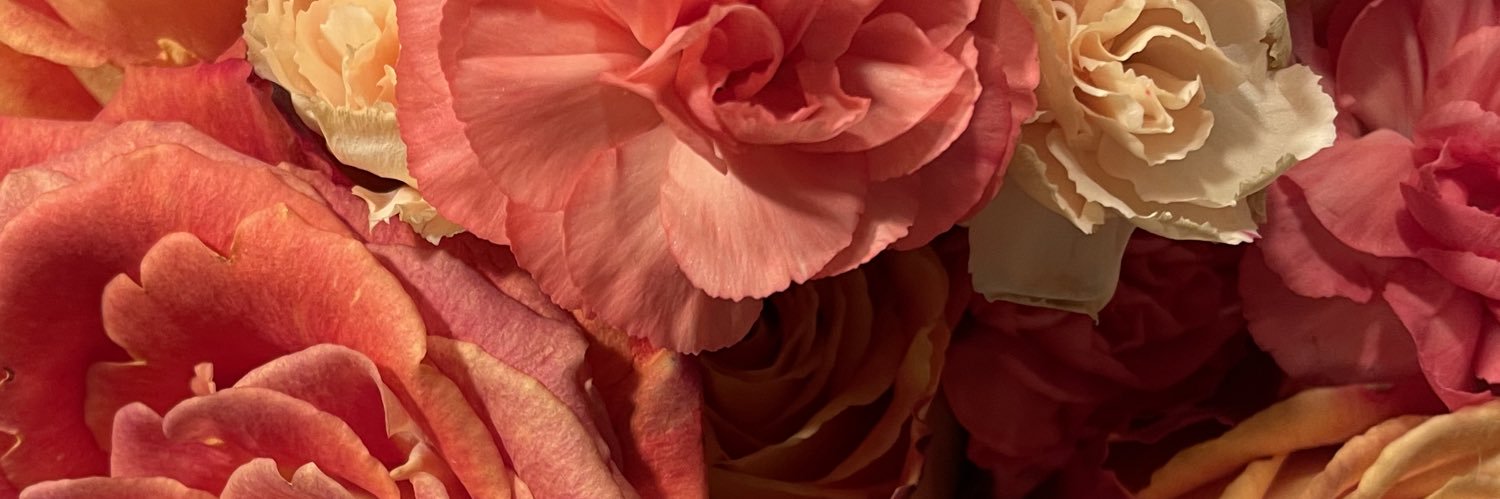 meriiidaaa's profile banner image