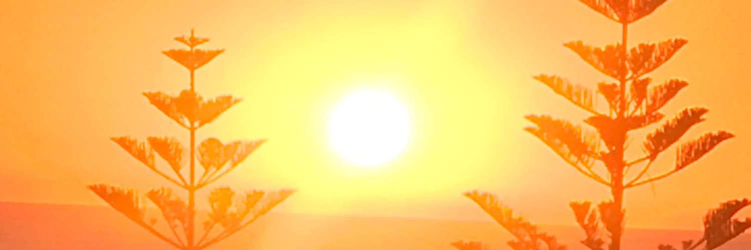 MothballsIV's profile banner image
