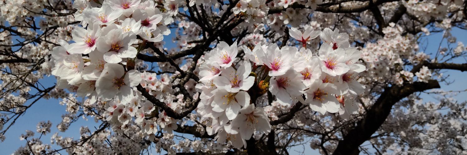 mipon_522's profile banner image