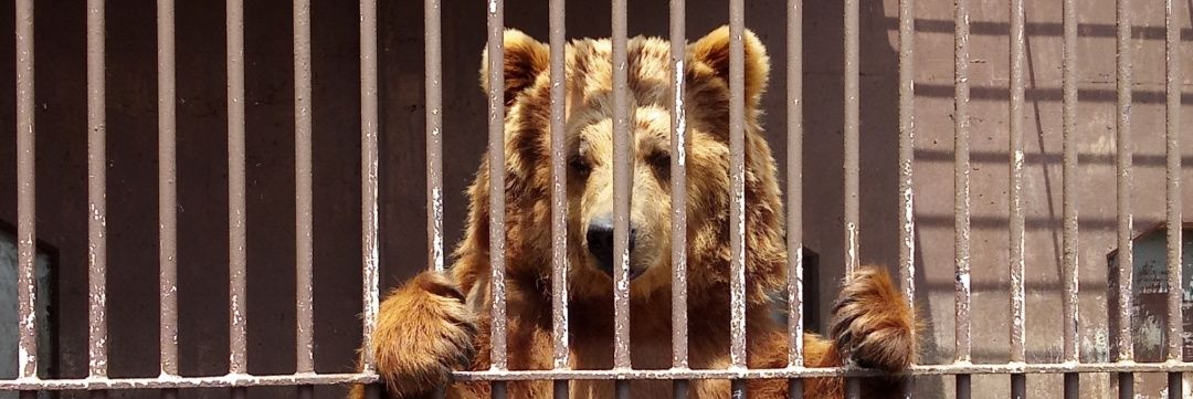 飲酒ʕꔷ𖨳ꔷʔ banner