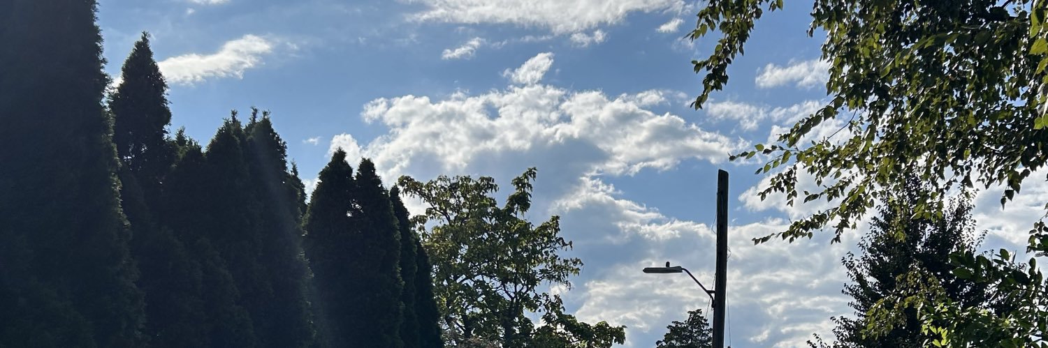 Emmaasack's profile banner image