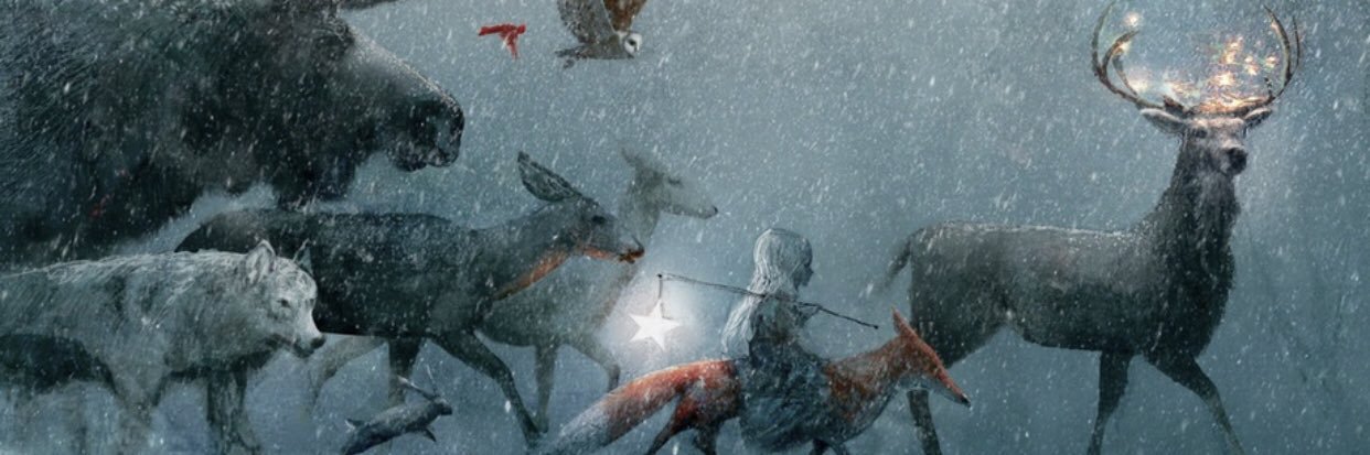 etoileeau's profile banner image