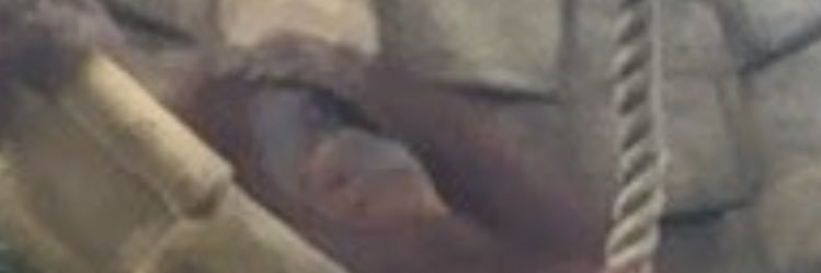 makddtweets's profile banner image