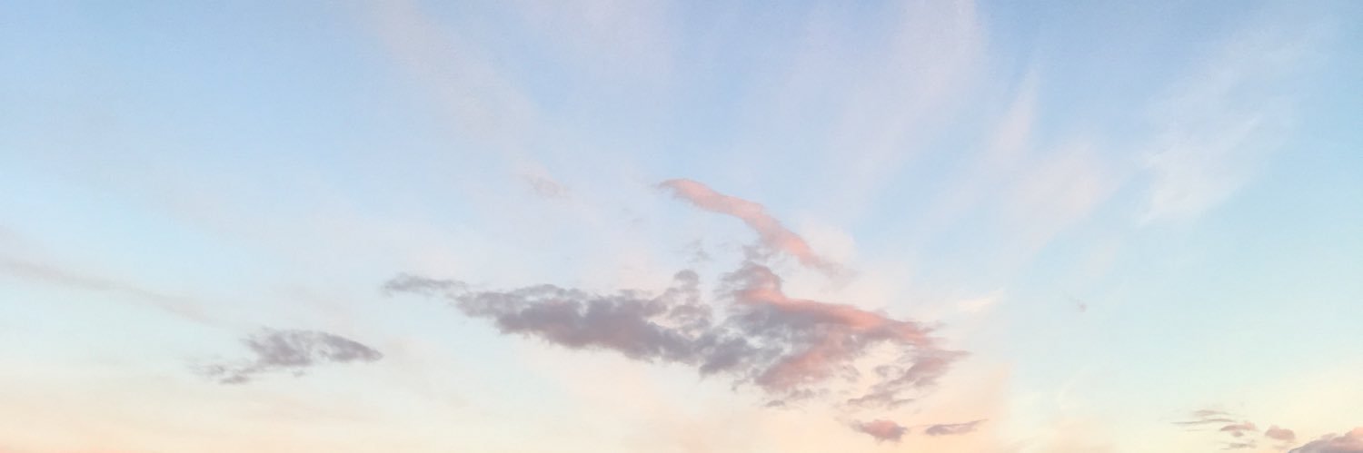 doinkthe's profile banner image