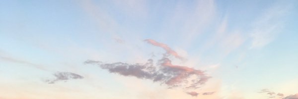 doinkthe Profile Banner