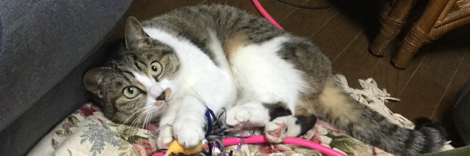 Kami_Shir0's profile banner image
