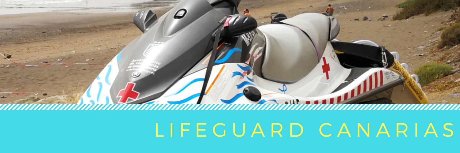 LifeguardCanar1's profile banner image