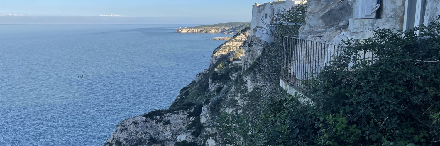 Antonella Matrella banner