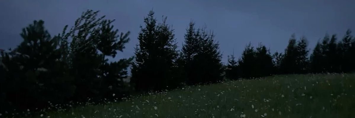 Walde banner