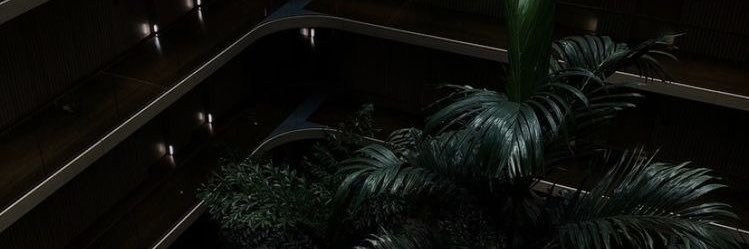 kexidean's profile banner image