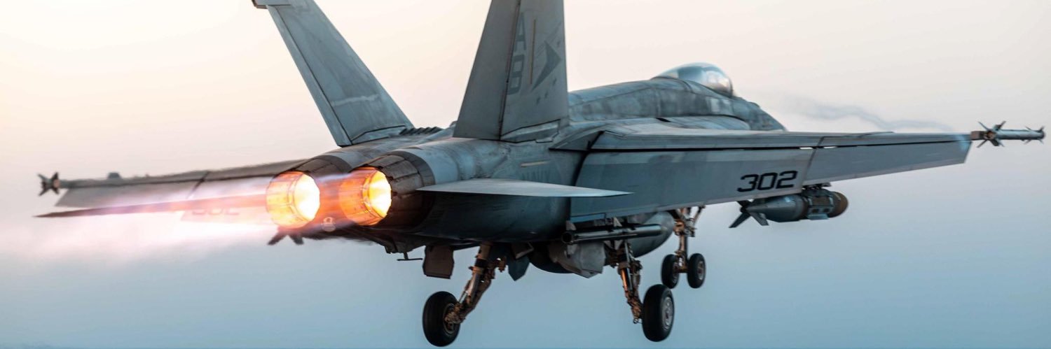 Pat Lions 🇺🇸 banner