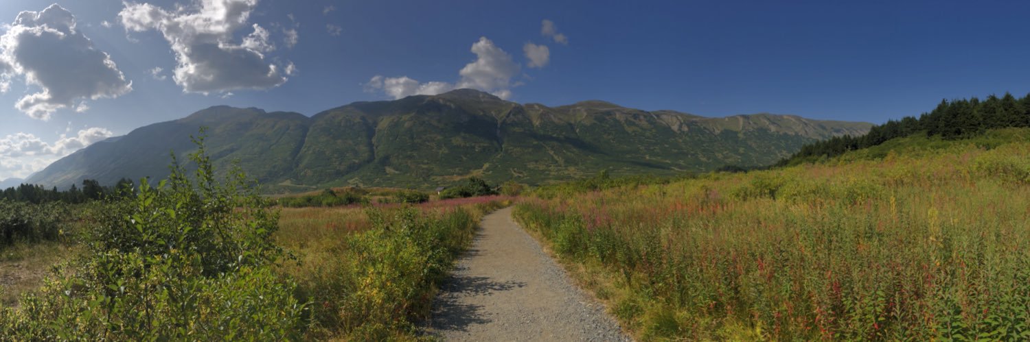 Trapper Markelz banner