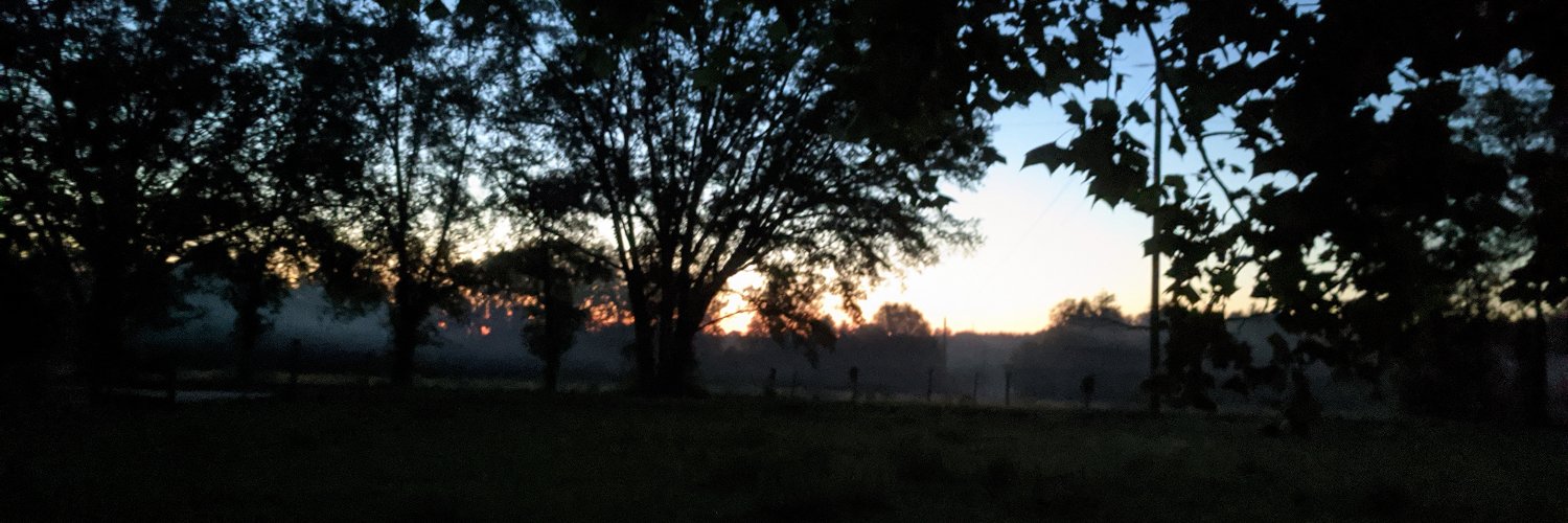 ConstantSkeptic's profile banner image