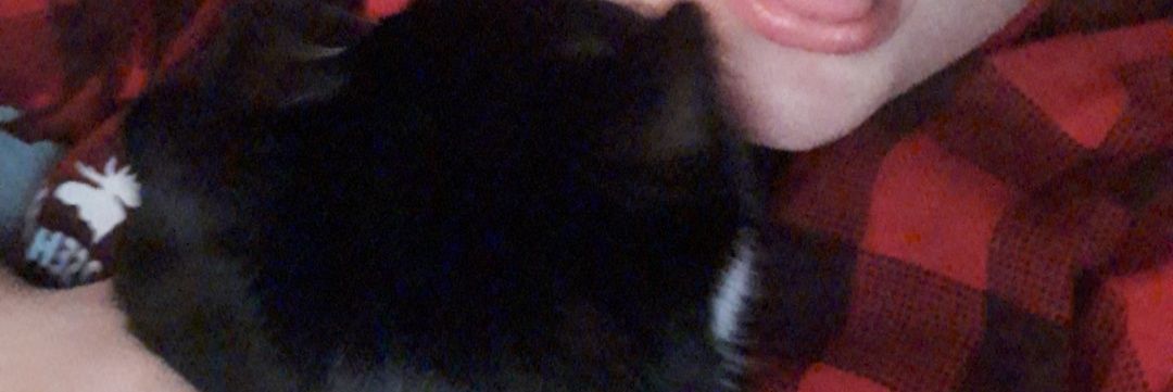 TinyTheCat2's profile banner image