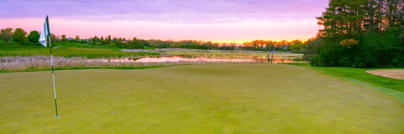 Niles West Boys Golf banner