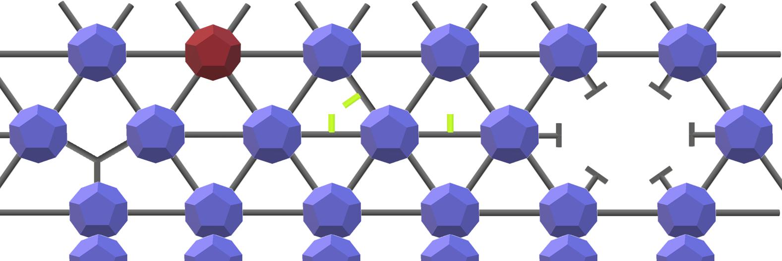 Dr Francesca Firth banner