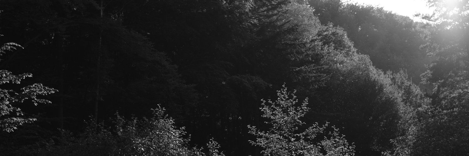 physiogi's profile banner image