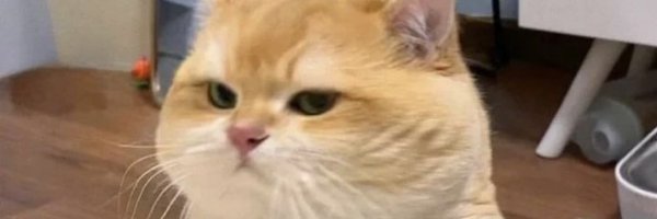 M_artio Profile Banner
