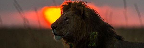 muthenya_'s profile banner image
