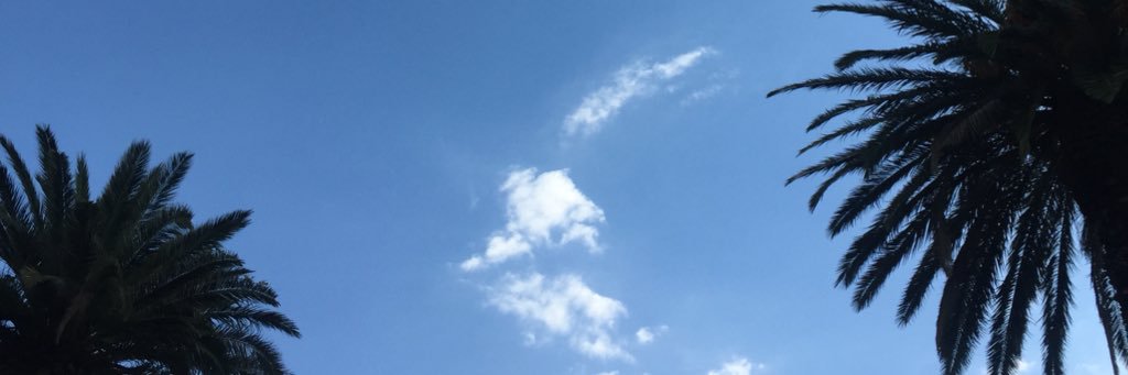 QueyCele's profile banner image