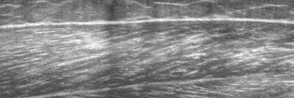 c_brusco Profile Banner