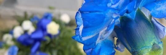 TreShaun💕 banner
