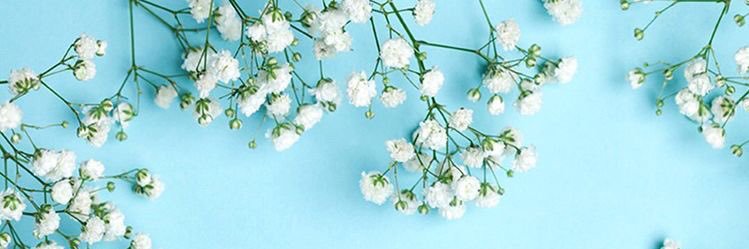 not4iu's profile banner image