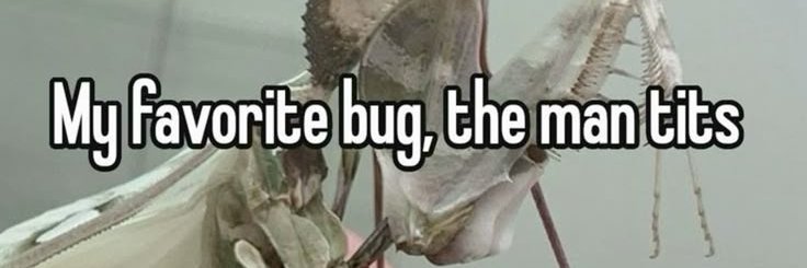 ║ ультрамаринова ║🐈‍⬛☕🐝 🇺🇦's banner