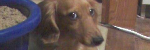 chi_ti's profile banner image