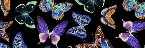 MadSpartaa's profile banner image