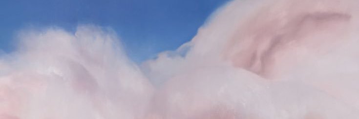 F 🦋 banner