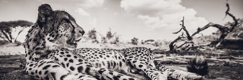 Marta1718's profile banner image