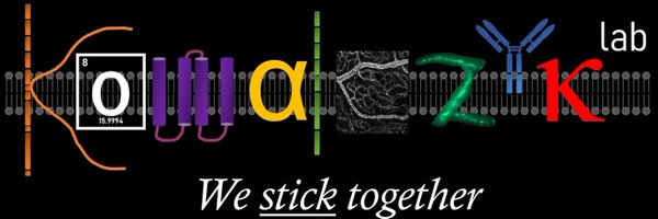 CellJxn Profile Banner