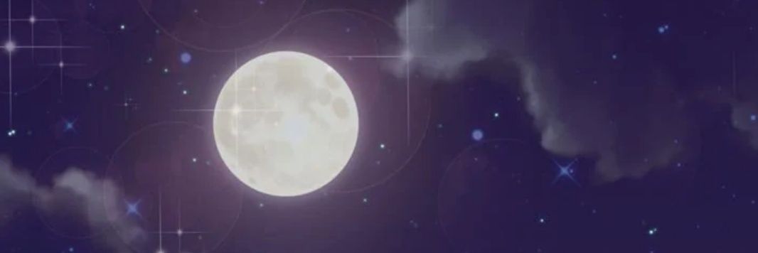 Taviona banner